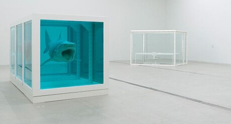 Damien Hirst’s First Major Asian Retrospective Opens in Seoul, Raising Questions Beyond Spectacle